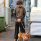 Milton is 189 cm tall and wears size L. | dark brown